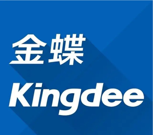 金蝶erp远程实施,安装,维护,二次开发,拍前联系确定价格!