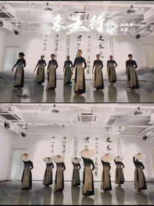 象王行舞蹈服装中国舞表演出衣服练功服女成人仙气新款古典舞旗袍