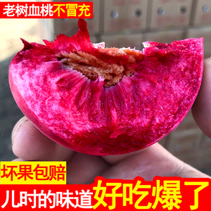 紫肉中华血桃5斤新鲜现摘当季红心朱砂红血桃子水蜜桃孕妇水果10