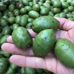 000人付款淘宝运城现摘青苹果酸甜爽口5斤10斤小青果水果新鲜水果tb