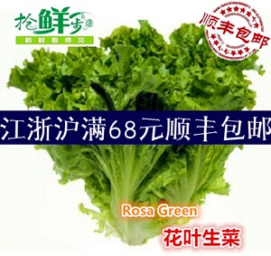 新鲜蔬菜 花叶生菜 罗莎绿生菜 西餐沙拉菜 500g 江浙沪5件包邮