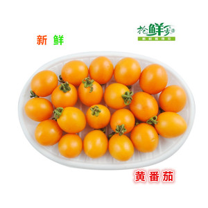 黄樱桃小番茄 新鲜水果番茄 圣女果 450g 江浙沪任搭5件包邮