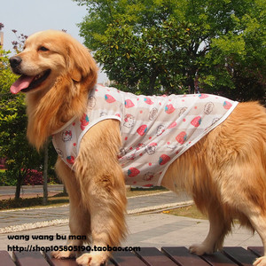 大狗狗背心夏季衣服夏天金毛萨摩拉布拉多中型犬大型犬薄款狗服饰
