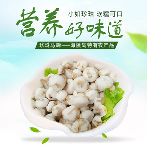 珍珠小马蹄新鲜野生马蹄马蹄荸荠蔬菜椰子鸡去皮甜脆糯酒店2包装