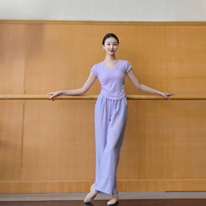 现代舞夏季成人舞蹈服短袖上衣练功修身中国古典民族跳舞服女瑜伽