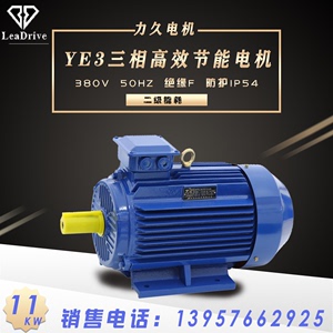利工/大速 YE3/YX3/YE2-11KW 二级能耗三相高效节能电机2/4/6/8极