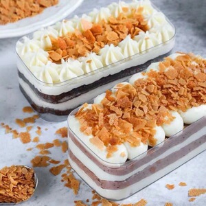 法国黄油碎可可薄脆片饼干脆片蛋糕甜品西点装饰碎片2.5kg包邮