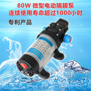 12V24V80W带风扇直流高压洗车泵电动隔膜水泵农用自吸打药泵喷雾