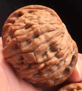 文玩核桃磨盘正磨特大