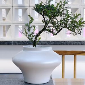 新中式禅意陶瓷花盆高档盆景艺术创意花器桌面装饰蝴蝶兰绿植盆