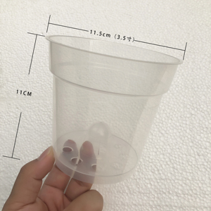 蝴蝶兰专用花盆高品质透明硬杯盆塑料育苗杯