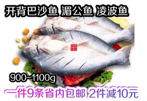 凌波鱼