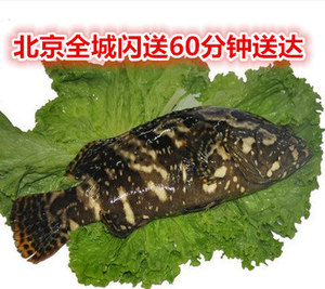 海鲜龙胆鱼
