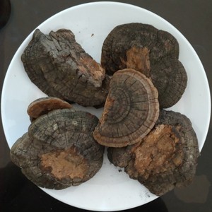 【扁木灵芝】扁木灵芝品牌,价格 - 阿里巴巴