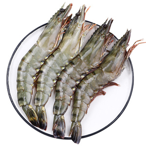 新货越南大虾鲜活虎虾海鲜水产斑节虾超大对虾老虎虾青虾九节虾黑