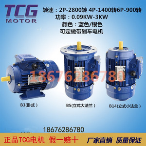 台创TCG三相异步电动机YS/TC6324 0.18KW 1/4HP 立式铝壳