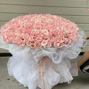 66朵超大束玫瑰花生日求婚订花束鲜花同城速递深圳广州珠海佛山店