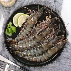 东山岛深海新鲜海鲜野生海虾黑虎虾超大鲜活冷冻老虎虾8-10只/盒