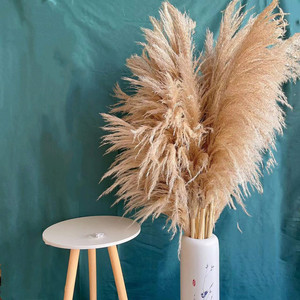芦苇干花花束客厅摆设永生真花风干轻奢高端diy落地装饰摆件蒲苇