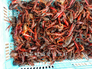 怎样剪纸小龙虾