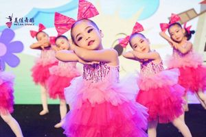 童梦格六一儿童舞蹈蓬蓬纱裙女童公主裙可爱蛋糕裙幼儿园舞蹈演出