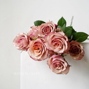 复古多头卡布奇诺咖啡拿铁翡翠泡泡玫瑰新鲜切花月光球漫步稀有色