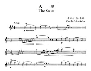天鹅圣桑斯swan小提琴独奏谱钢琴伴奏谱 钢琴伴奏小提琴示范mp3