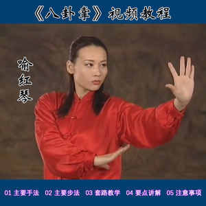 喻红琴八卦掌u盘视频教程形意心意dvd光盘版八卦连环掌分解教学