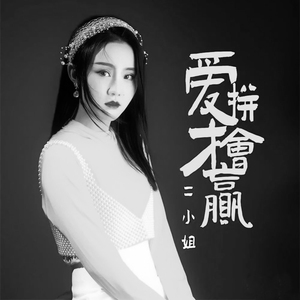 二小姐cd闽南歌酒梦后海酒吧车载cd碟片流行热门无损音乐cd光盘通