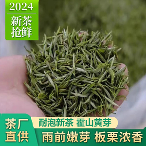 霍山黄芽2024年新茶安徽六安茶叶雨前高山嫩芽浓香型耐泡黄茶春茶