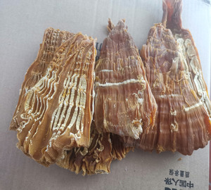 竹笋干天然晒干广西特产竹笋干农家黄竹笋干脆嫩竹笋脆嫩笋尖包邮