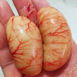 广东新鲜鸡子鸡腰子鸡卵鸡春子公鸡卵鸡杂壮腰烧烤炖汤火锅500g