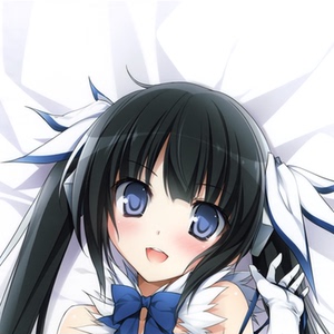 期待在地下城邂逅 赫斯缇雅 双面动漫等身抱枕套