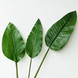 北欧风仿真手感龟背叶天堂鸟叶芭蕉叶ins风插花配材婚礼家居绿植
