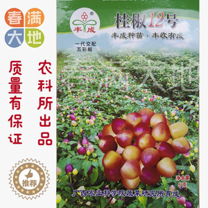 广西五彩椒种子农科院育成七彩椒珍珠朝天小辣椒可食用泡椒