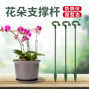 园艺支撑杆花架固定器蝴蝶兰花支架固定花神器植物防倒伏花杆塑形