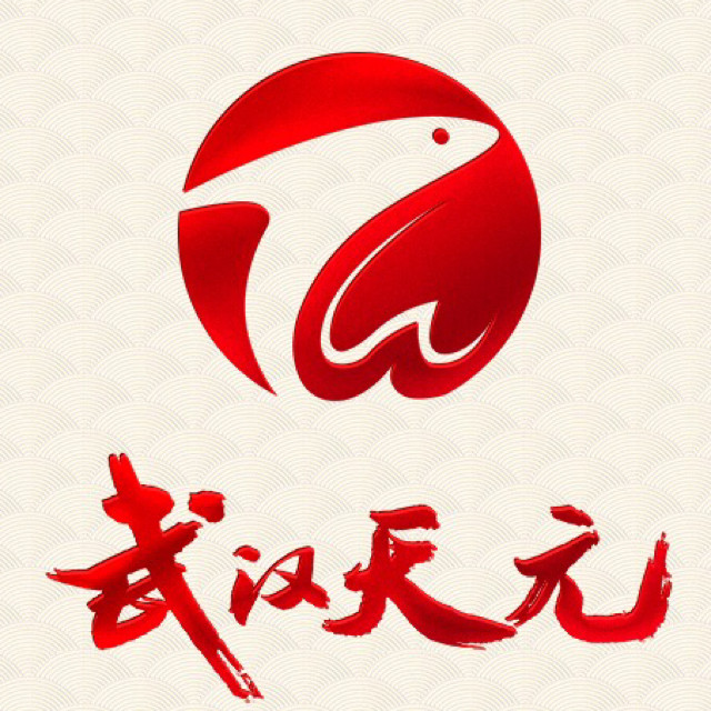 武汉天元 正品 综合杆 特作千川鲤二代 超轻鲤鱼鲫鱼大物竿台钓杆