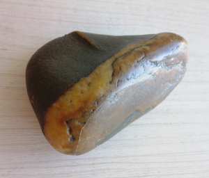 手把玩石头鞋子化泥石玉古陶石化石金丝玉阴阳石原石怪石奇石把件