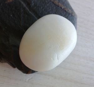 天然白石头戈壁料新疆鸡骨白玉金丝玉地表籽料瓷白蛋白玉原石毛料