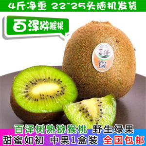 百泽树熟猕猴桃陕西省周至徐香奇异果营养特级果即食农产品礼盒装