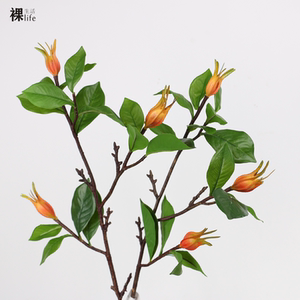 栀子果假花果枝 仿真黄栀子黄果子浆果客厅餐桌样板房插花装饰