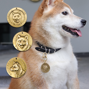 90zhouzipeng3淘宝狗狗牌身份牌定制刻字名牌宠物项圈牵引绳防走丢