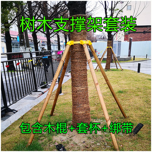 行道树木支撑支架苗木塑料固定器绿化去皮松杨木棍杆支撑架套装
