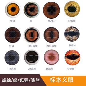 眼睛食品雕刻仿真眼珠假眼球野鸡面塑玻璃仿真眼动物标本义眼3人付款
