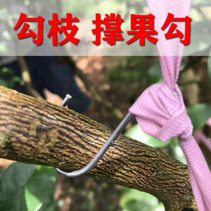 拉树枝钩子沃柑撑果钩沃柑吊果钩柑橘绑果勾农用树枝钩果树拉果钩