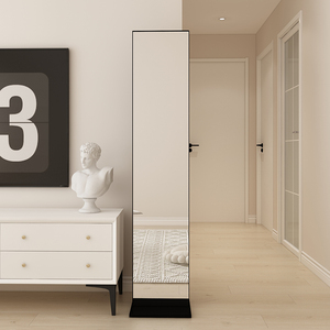 入户门家用客厅方形极窄全身镜落地镜卧室网红ins试衣镜穿衣镜子