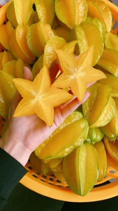 抱朴园香蜜杨桃水果福建漳州脆甜多汁现摘现发当季新鲜水果整箱