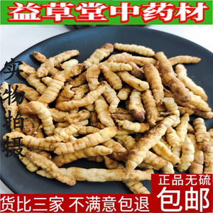 地蚕草