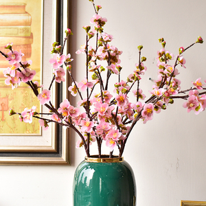 插桃花花瓶客厅