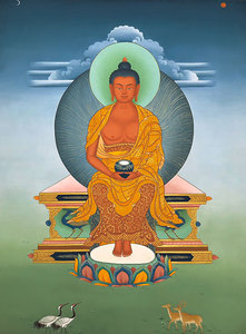 阿弥陀佛画像结缘新款白玉天法传承破瓦法红佛像画像图像唐卡塑封